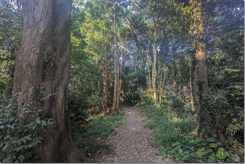 糸島、とっぺん展望台への山道 糸島、とっぺん展望台への山道