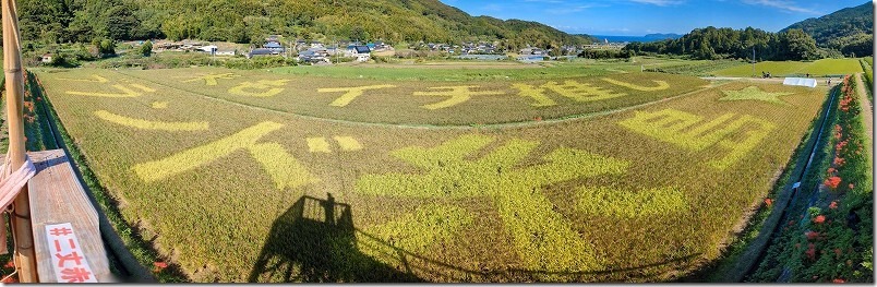 二丈の赤米、2023田んぼアートの文字