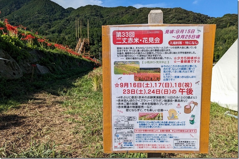 二丈赤米・花見会、見頃、開催時期