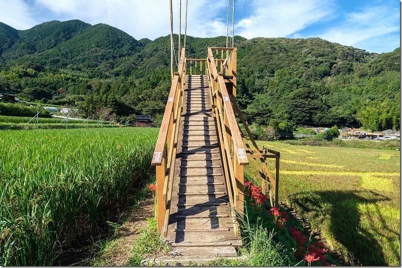 二丈の赤米、田んぼアートの櫓、スロープ