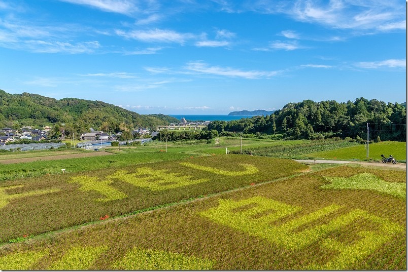 二丈の赤米、2023田んぼアートの文字
