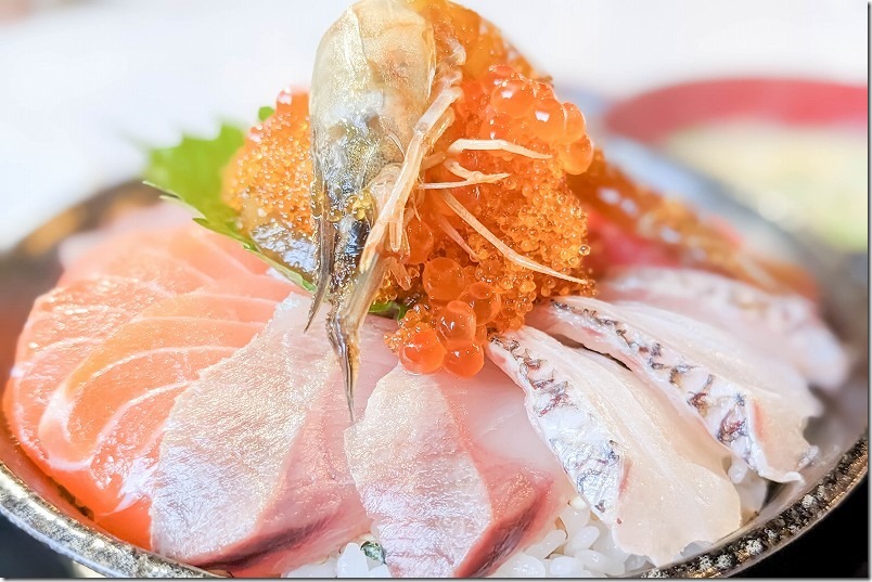 糸島、西浦漁港、まる弥の魚卓の日替わり海鮮丼