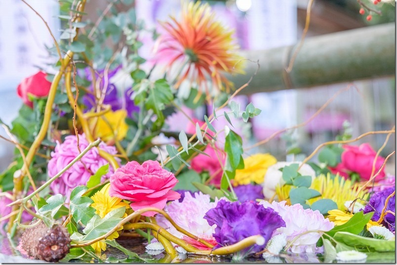 糸島 櫻井神社の花手水【糸島市志摩桜井】 2023/11 糸島 櫻井神社の花手水【糸島市志摩桜井】 2023/11
