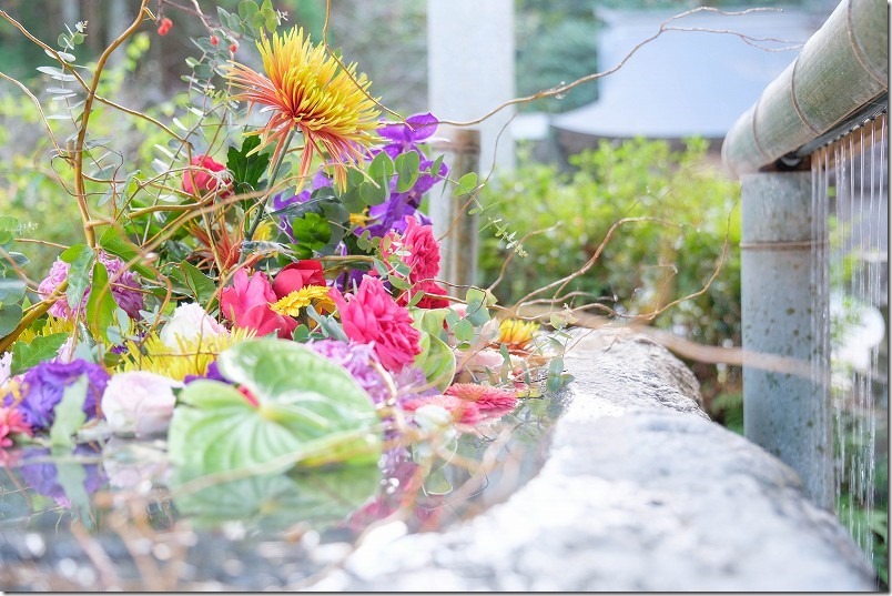 糸島 櫻井神社の花手水【糸島市志摩桜井】 2023/11 糸島 櫻井神社の花手水【糸島市志摩桜井】 2023/11