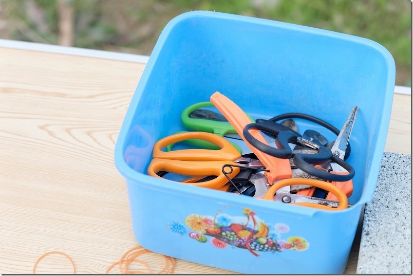 今津中田のコスモス畑、花摘み体験イベントのハサミや新聞紙もあり