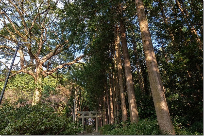 糸島、高祖神社の参道