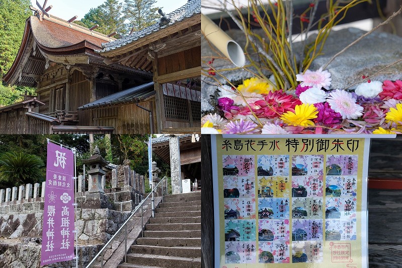 糸島　高祖神社の花手水・特別御朱印