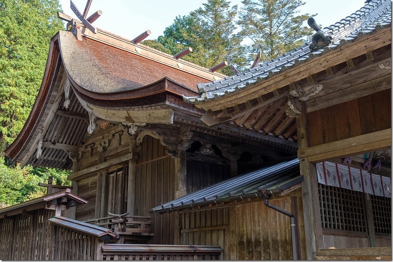 高祖神社、国の重要文化財の本殿