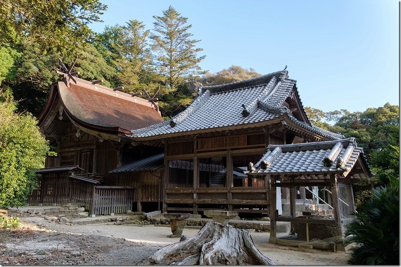 高祖神社、国の重要文化財の本殿