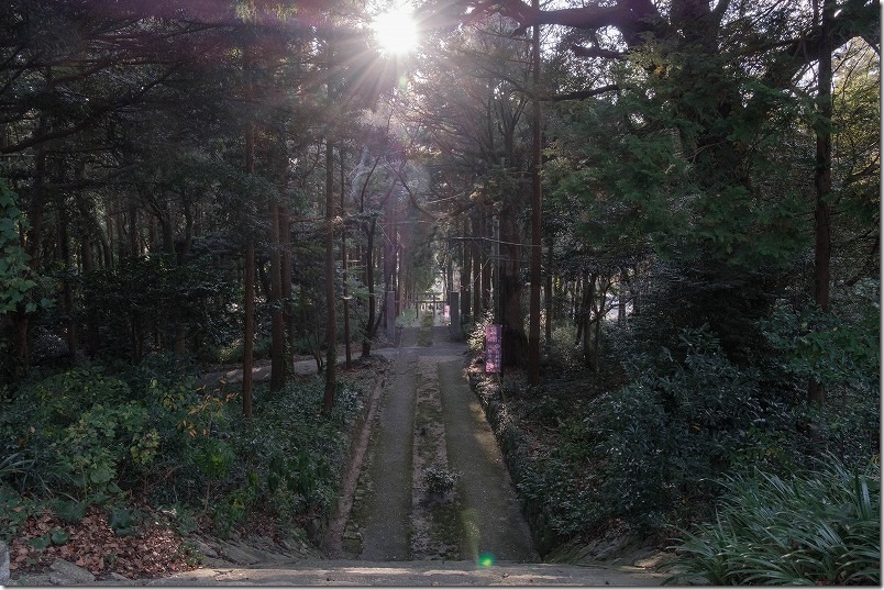 高祖神社の夕日と参道