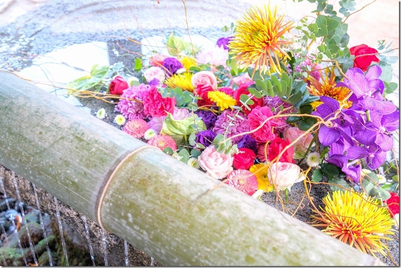 糸島 櫻井神社の花手水【糸島市志摩桜井】 2023/11 糸島 櫻井神社の花手水【糸島市志摩桜井】 2023/11