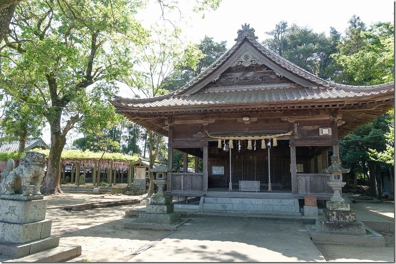 糸島、井原住吉神社の長寿の藤の藤棚