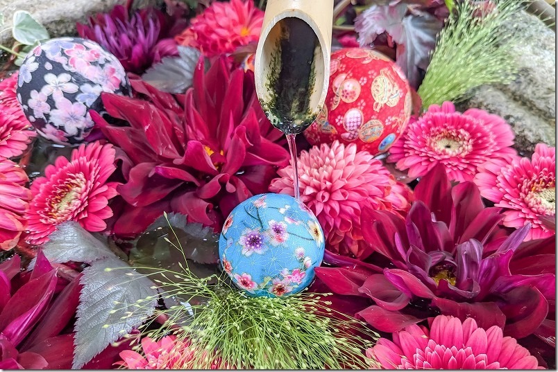 糸島 六所神社の花手水【糸島市志摩馬場】 2024/11 糸島 六所神社の花手水【糸島市志摩馬場】 2024/11