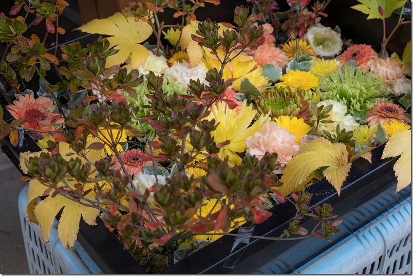 糸島 細石神社の花手水【糸島市三雲】 2024/11 糸島 細石神社の花手水【糸島市三雲】 2024/11