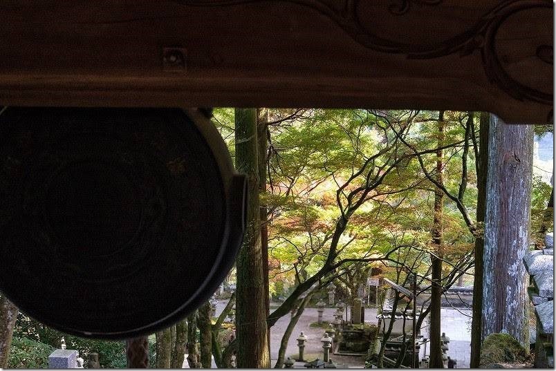 雷山千如寺大悲王院 本堂に登る石段の紅葉（上から見た景観）