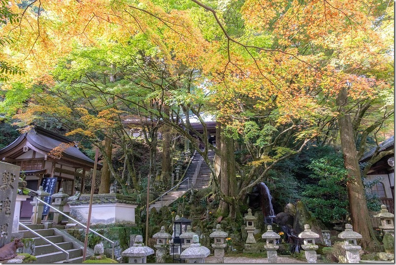 雷山千如寺大悲王院 本堂に登る石段の紅葉や滝