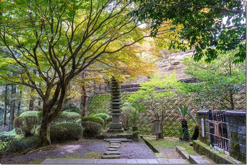 雷山千如寺大悲王院 雷山の風穴付近の紅葉