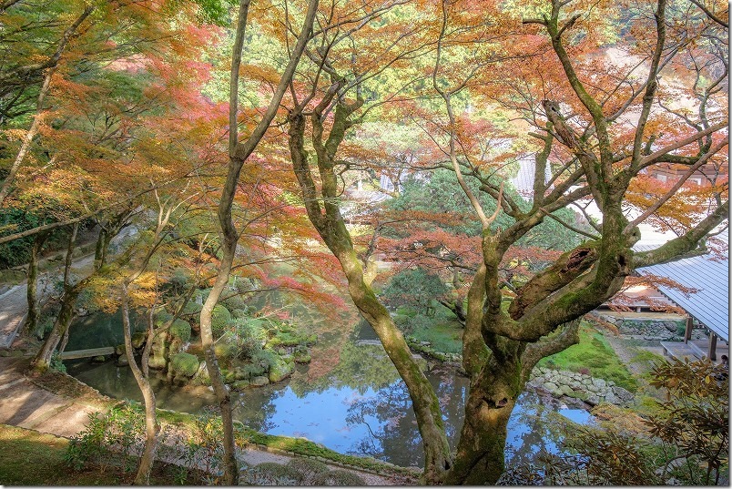 雷山千如寺大悲王院 庭園付近の紅葉