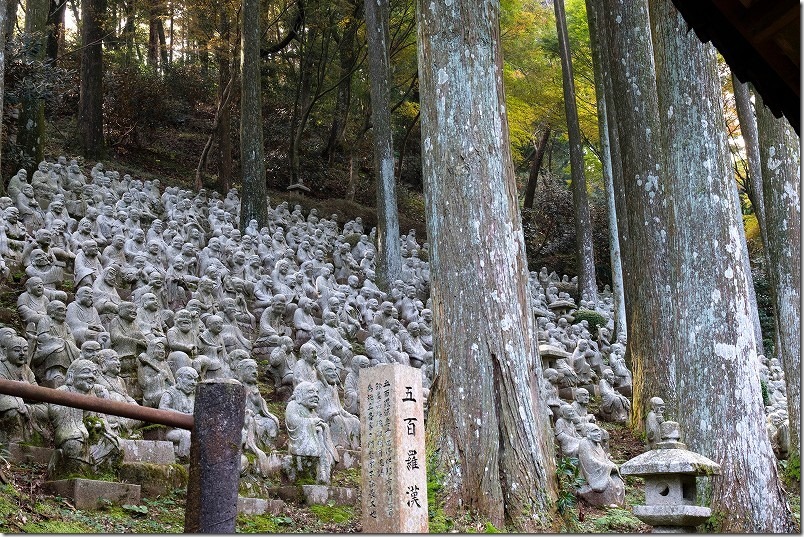 雷山千如寺大悲王院 500羅漢付近の紅葉