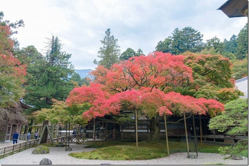 雷山千如寺大悲王院の紅葉