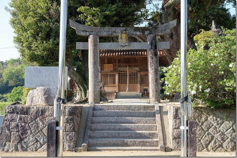 糸島 雉琴神社 糸島 雉琴神社