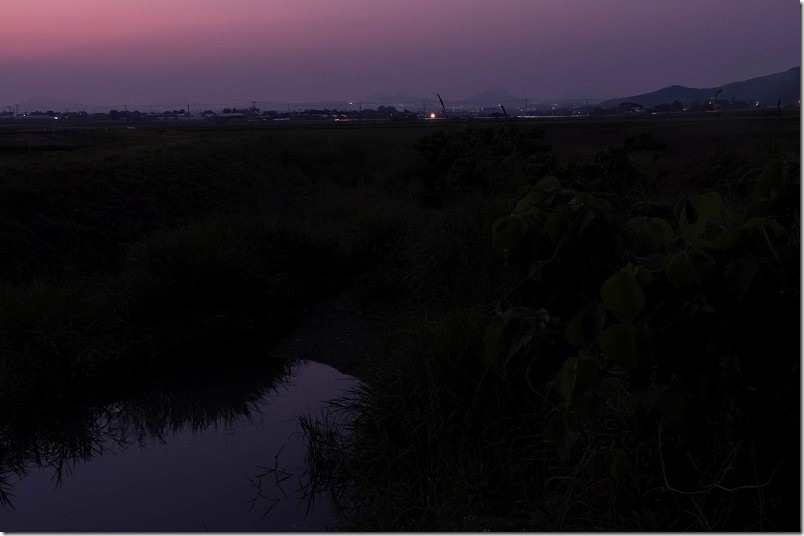 2025 糸島でホタル鑑賞 ホタルの出現時間