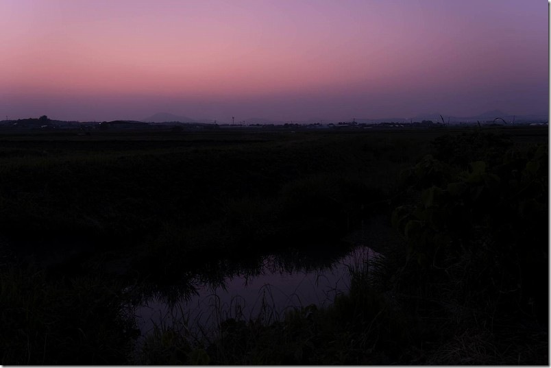 2025 糸島でホタル鑑賞 ホタルの出現時間