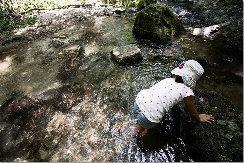 野河内渓谷 子供と水遊び 野河内渓谷 子供と水遊び