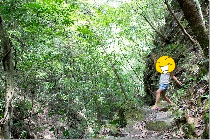 野河内渓谷 遊歩道 子供と散策 険しい道 野河内渓谷 遊歩道 子供と散策 険しい道