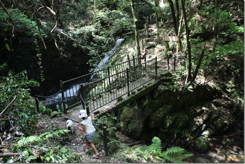 野河内渓谷 散策 子供と矢渕滝へ橋を渡る 野河内渓谷 散策 子供と矢渕滝へ橋を渡る