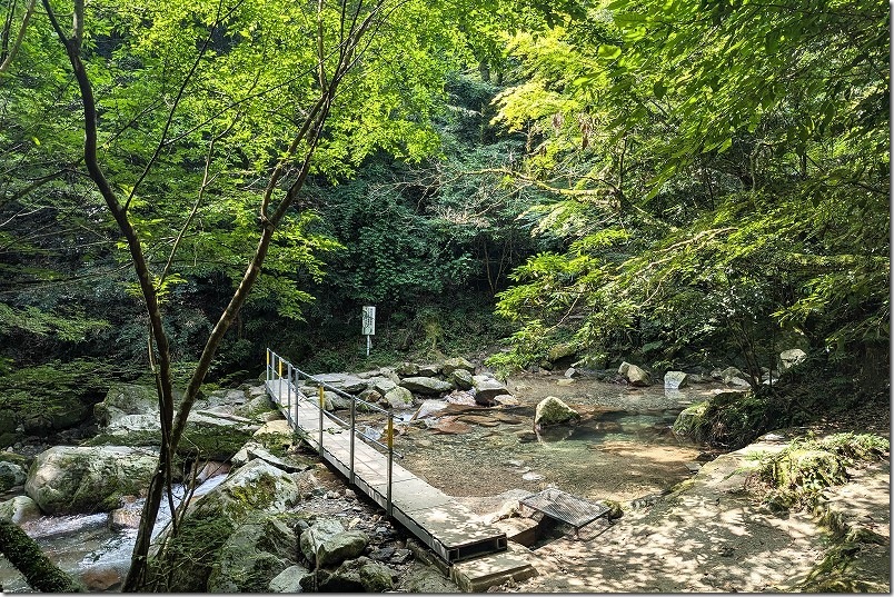 野河内渓谷 2025年 野河内渓谷 2025年