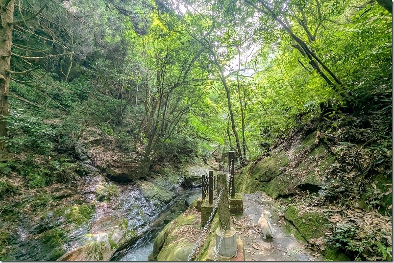 野河内渓谷 散策 綺麗な木漏れ日 野河内渓谷 散策 綺麗な木漏れ日