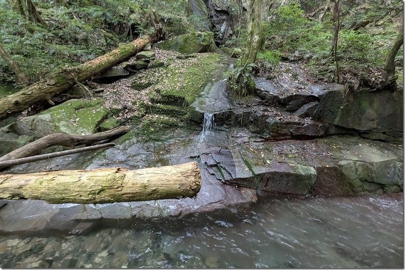 野河内渓谷 散策 風涼峡付近は水が豊か 野河内渓谷 散策 風涼峡付近は水が豊か