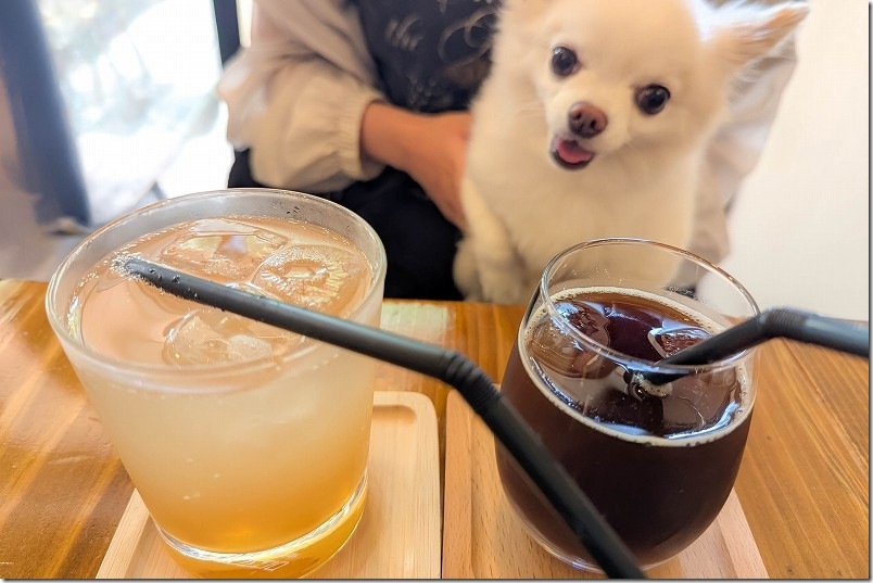 カフェ しあわせ駅のランチ セットのドリンク +250円 カフェ しあわせ駅のランチ セットのドリンク +250円