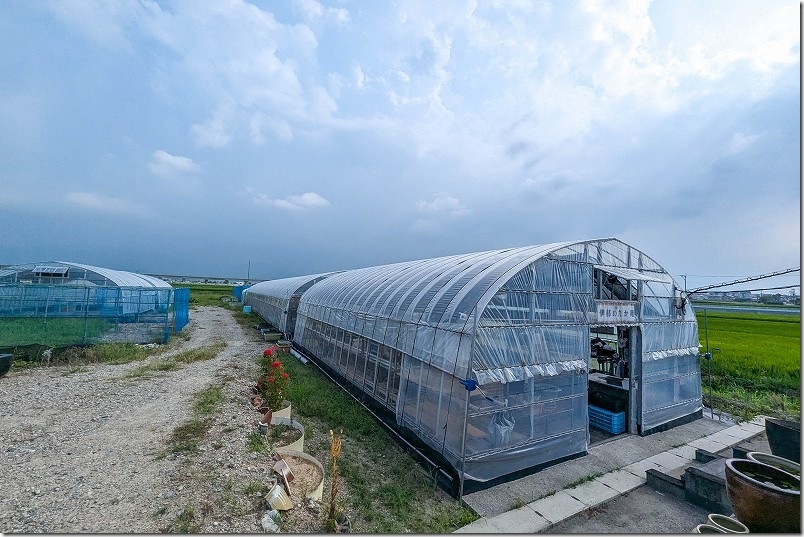 糸島 伊都めだか苑 ハウス 糸島 伊都めだか苑 ハウス