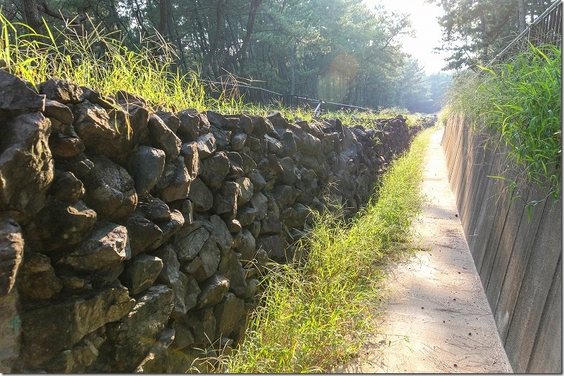 今津地区 元寇防塁 発掘された石垣 今津地区 元寇防塁 発掘された石垣