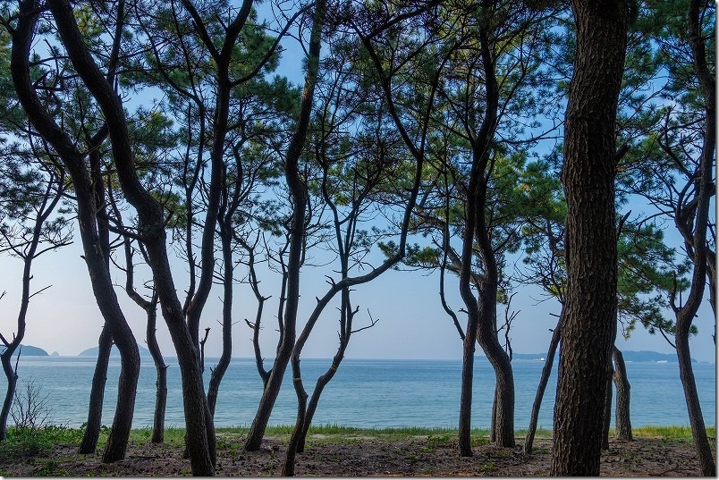 元寇防塁から海へ抜ける道【長浜海岸】 元寇防塁から海へ抜ける道【長浜海岸】