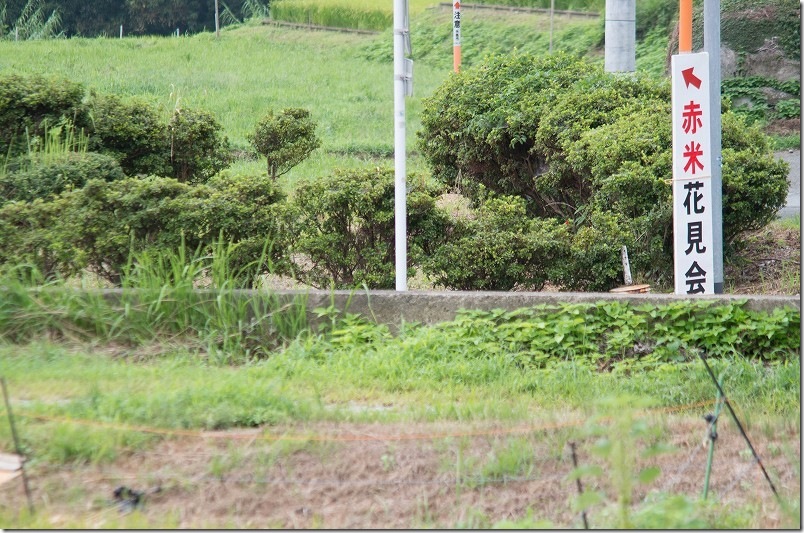 赤米アートへのアクセス情報 道路沿いの案内看板 赤米アートへのアクセス情報 道路沿いの案内看板