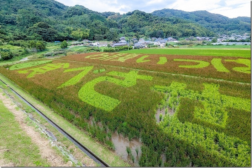 2025年 赤米アートの絵文字 2025年 赤米アートの絵文字