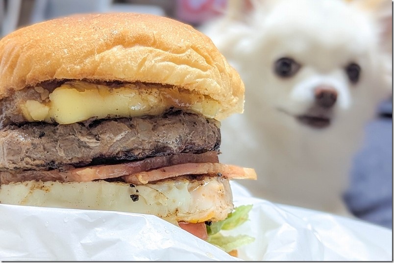 いきまつバーガー 全部乗せハンバーガー 「がっつりチーズ」は、めちゃ分厚い いきまつバーガー 全部乗せハンバーガー 「がっつりチーズ」は、めちゃ分厚い