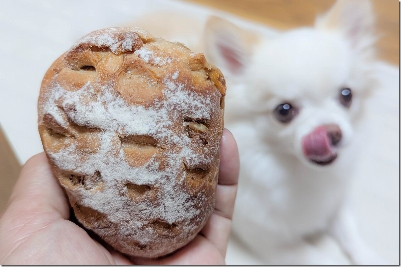 まつぼっくりパン 人気No.1の「まつぼっくるみ」