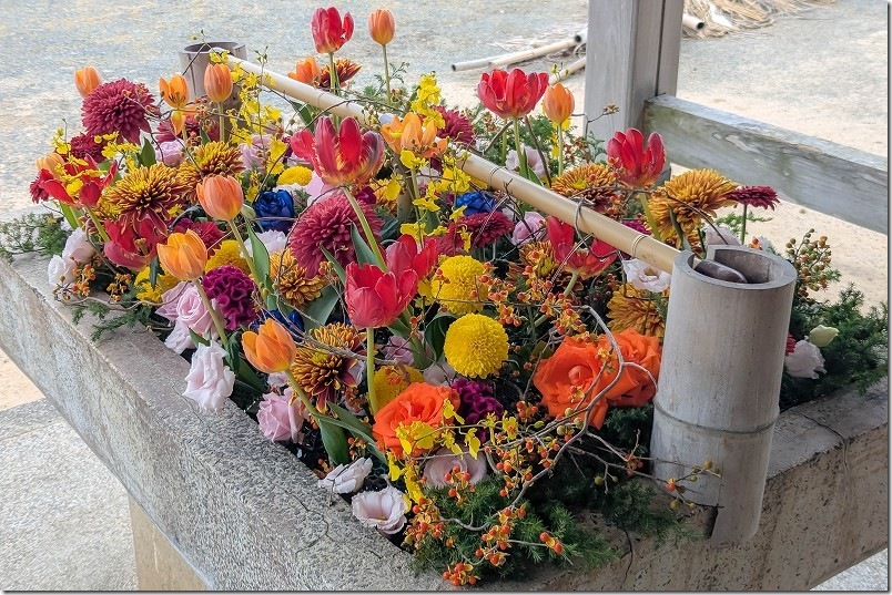 糸島 大祖神社の花手水【糸島市志摩芥屋】 2025/11 糸島 大祖神社の花手水【糸島市志摩芥屋】 2025/11