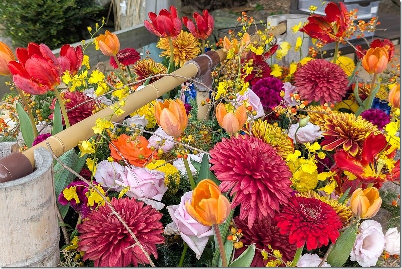 糸島 大祖神社の花手水【糸島市志摩芥屋】 2025/11 糸島 大祖神社の花手水【糸島市志摩芥屋】 2025/11