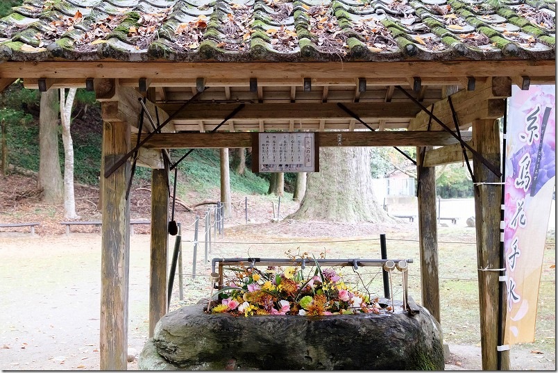 雷神社の花手水【11月開催】