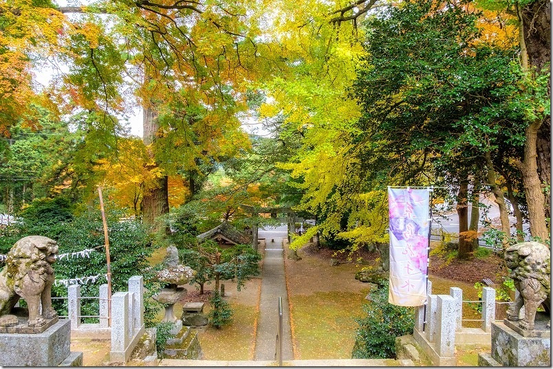 雷神社の境内 紅葉【糸島市雷山】 雷神社の境内 紅葉【糸島市雷山】