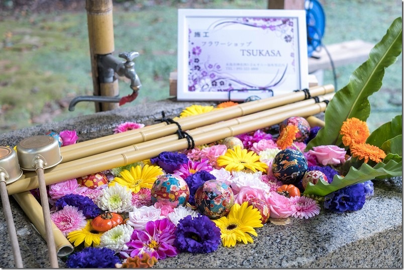 糸島 熊野神社の花手水【糸島市小金丸】 2025/11 糸島 熊野神社の花手水【糸島市小金丸】 2025/11
