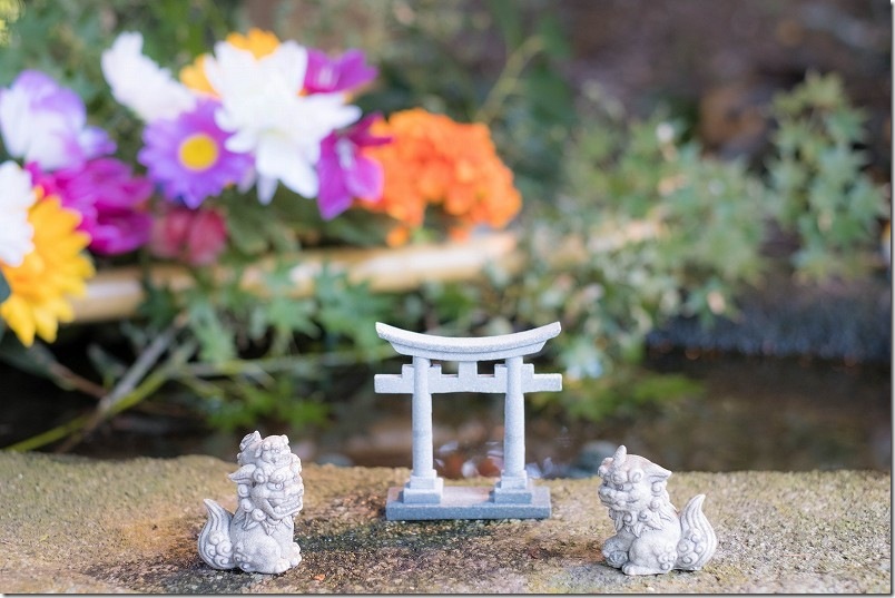 熊野神社の花手水と鳥居、狛犬のオブジェ【糸島市小金丸】 フォトスポット 熊野神社の花手水と鳥居、狛犬のオブジェ【糸島市小金丸】 フォトスポット