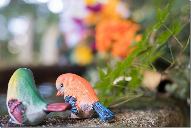 熊野神社の花手水と小鳥のオブジェ【糸島市小金丸】 フォトスポット 熊野神社の花手水と小鳥のオブジェ【糸島市小金丸】 フォトスポット