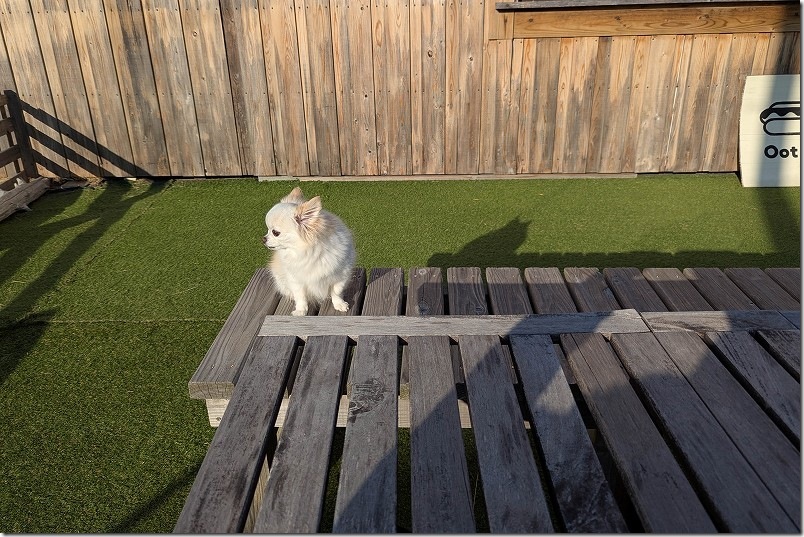 LT2-B-PXL_20260212_071205792.MP