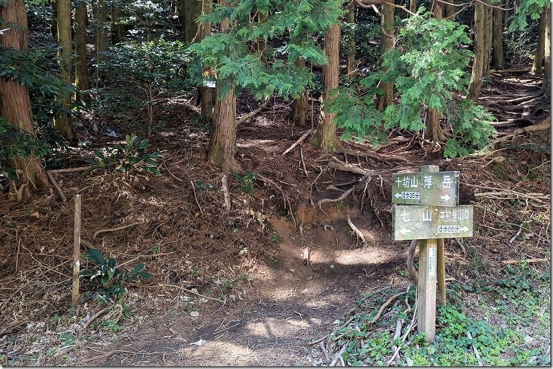 十坊山登山口 白木峠の登山口標識(山頂まで徒歩35分) 十坊山登山口 白木峠の登山口標識(山頂まで徒歩35分)